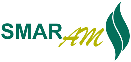SMARam
